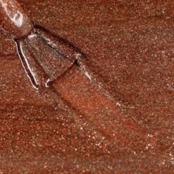 Bluesky Christmas Gel Polish Duo Set - Tinsel Toast & Ruby Ritz -Bluesky Cosmetics 80544swatches