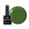 BLUESKY GEL POLISH - EVERYDAY CHIC - AW2208 12 BLUESKY GEL POLISH - EVERYDAY CHIC - AW2208 -Bluesky Cosmetics AW2208