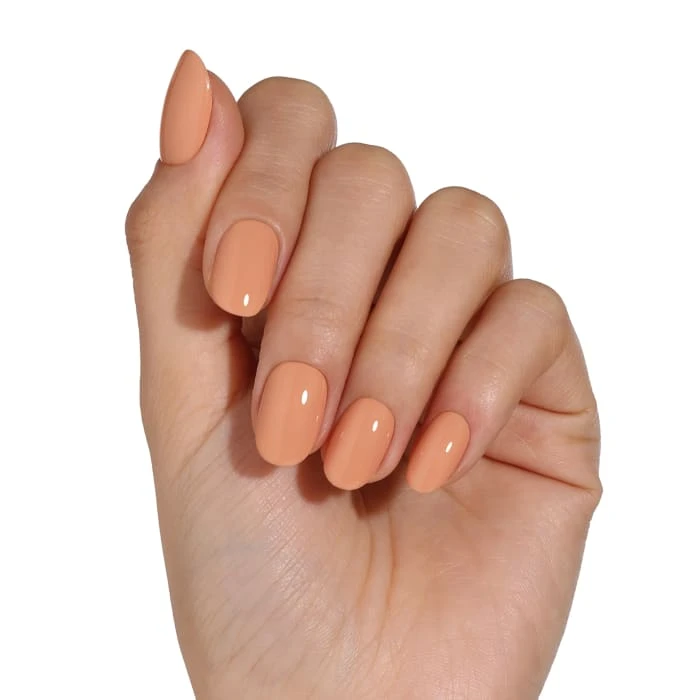 BLUESKY GEL POLISH - ORANGE LINES - AW2222 3 BLUESKY GEL POLISH - ORANGE LINES - AW2222 - Image 3