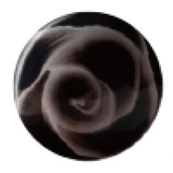 Bluesky Blossom Gel - ONYX ODYSSEY - 01 -Bluesky Cosmetics BLOSSOM01 c