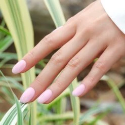 Gentle Whisper - BNR03 - 10ml Rubber Base Coat 15 Gentle Whisper - BNR03 - 10ml Rubber Base Coat -Bluesky Cosmetics BNR03 02