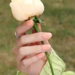 Citrus Breeze - BNR05 - 10ml Rubber Base Coat -Bluesky Cosmetics BNR05 03