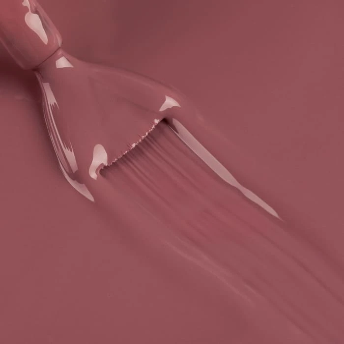 Autumn Leaves Bundle 5 Autumn Leaves Bundle - Image 5