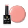 Bluesky Gel Polish - CORAL FUSION - BSH008 -Bluesky Cosmetics BSH008