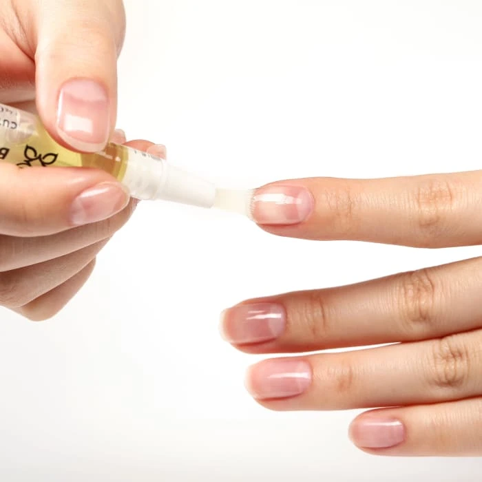 Bluesky Newbie Bundle 7 Bluesky Newbie Bundle - Image 7