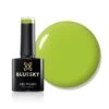 Bluesky Gel Polish - ON THE ROPES - SS2102 -Bluesky Cosmetics CopyofSS2102