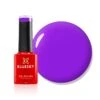 Bluesky Gel Polish Mini - Fantasy Purple - DC029 -Bluesky Cosmetics DC029