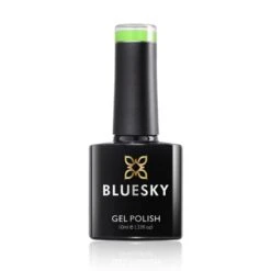 Bluesky Gel Polish - LIME - NEON02 -Bluesky Cosmetics N02Limebottle