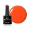 Bluesky Gel Polish - ORANGE ZEST - NEON05 -Bluesky Cosmetics N05blob