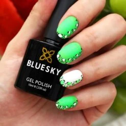 Bluesky Gel Polish - APPLE GREEN - NEON10 -Bluesky Cosmetics NEON N10 80501 PAINT 01 PAINT 02