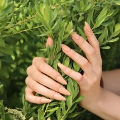 Bluesky Spring 2023 Mini Collection (6 X 5ml) -Bluesky Cosmetics SS230602