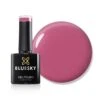 BLUESKY GEL POLISH - SS2311 - What It Takes 14 BLUESKY GEL POLISH - SS2311 - What It Takes -Bluesky Cosmetics SS2311MAIN