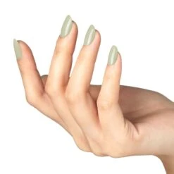 Bluesky Gel Polish - SS2408 - Safari Chic -Bluesky Cosmetics SS2408 HAND