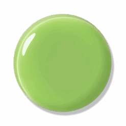 Mint Lime - SS2504 - 10ml Gel Polish -Bluesky Cosmetics SS2504 C