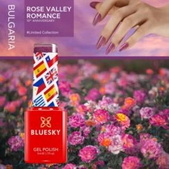 Bluesky 10 Year Anniversary - Set 2 -Bluesky Cosmetics bluesky 10 year anniversary set 2 5ml bottle bright gel polish cosmetics flower pink plant 941