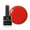 Bluesky Gel Polish - RED CARPET - FW02 -Bluesky Cosmetics fw02blob