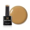 Bluesky Gel Polish - RUM & RAISIN - FW08 -Bluesky Cosmetics fw08blob